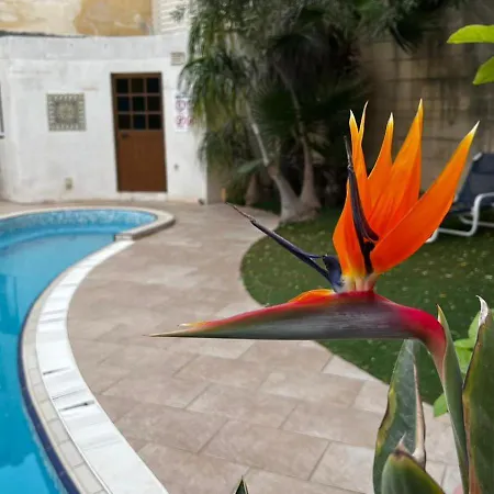 Malta Villa